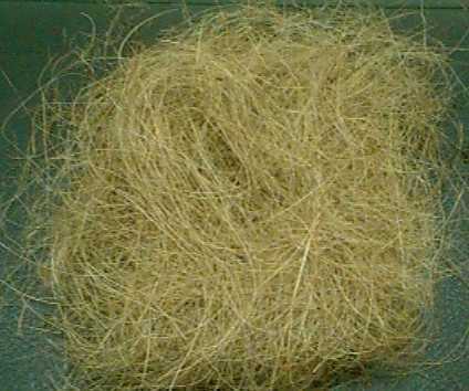 Coconut Fiber After Processed, Before pressing